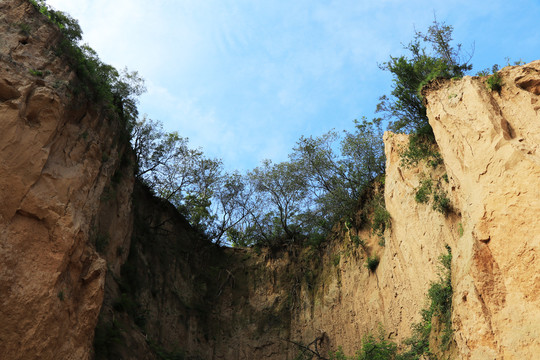 黄土崖壁