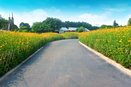 花园小路