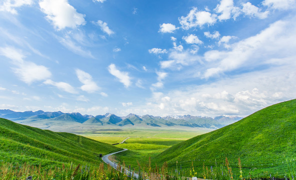 新疆喀纳斯雪山河流草原风光