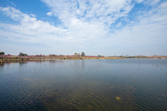 上海海湾国家森林公园