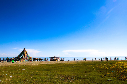 青海湖草原帐篷