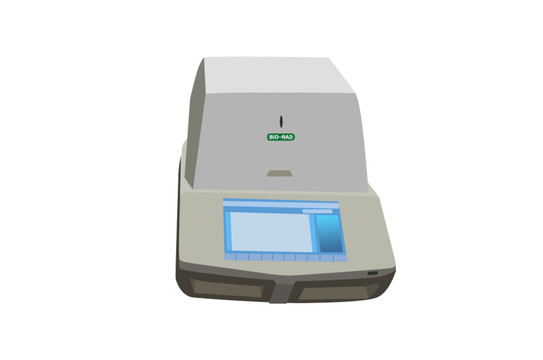 实时荧光定量PCR
