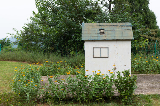 小木屋