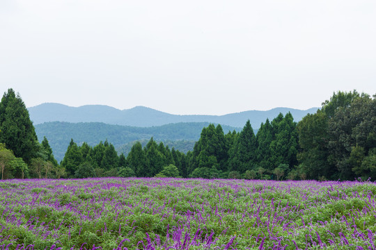 四川德阳中国香山旅游景区