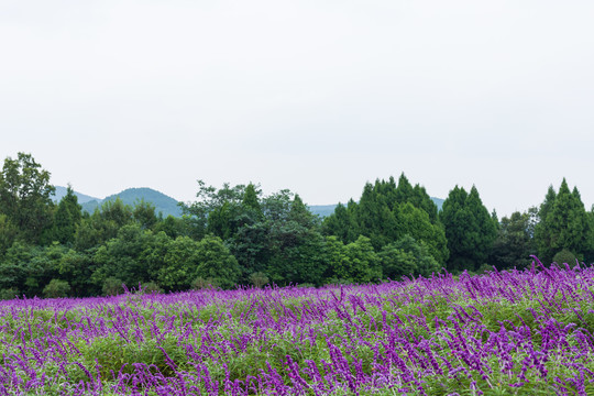 四川德阳中国香山旅游景区