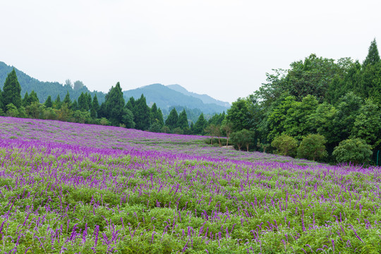 四川德阳中国香山旅游景区