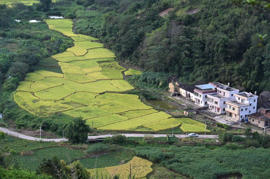 丰顺马图村