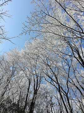 张家界天门山雪景