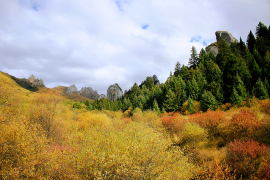 碌曲县则岔石林旅游景区