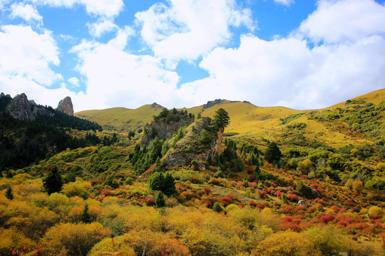 碌曲县则岔石林旅游景区