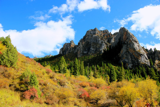 碌曲县则岔石林旅游景区