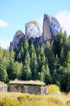 碌曲县则岔石林旅游景区