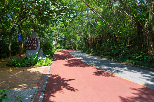 南宁青秀山风景区园林景观