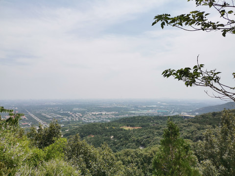 山上俯瞰城市
