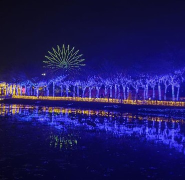 湖边夜景
