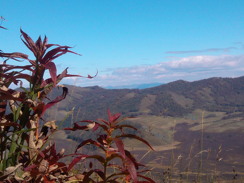 喀纳斯山