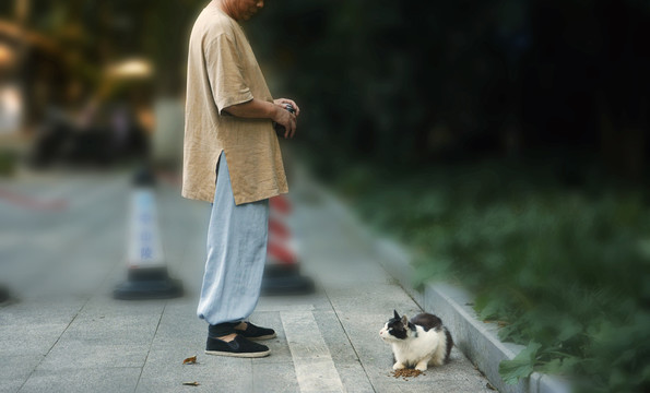 僧人投喂流浪猫