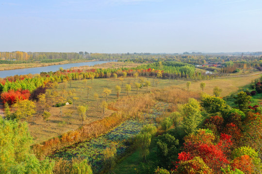 湿地风景