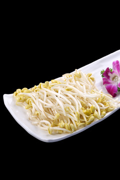 自发豆芽