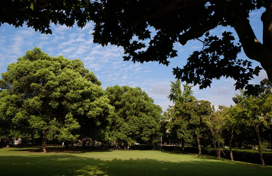 上海交通大学徐汇校区