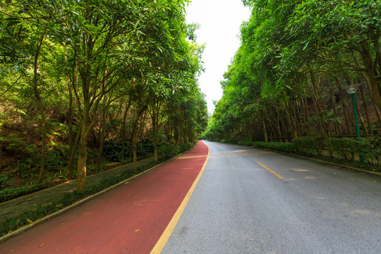 南宁青秀山风景区休闲步道