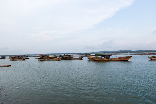 钦州茅尾海装蚝船