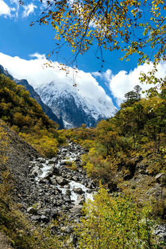 西藏雪山