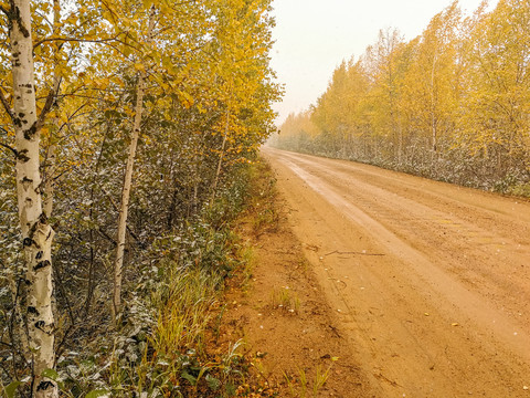 秋季下雪树林公路