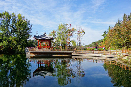 美人松湖秋色