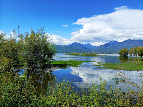拉市海湿地公园