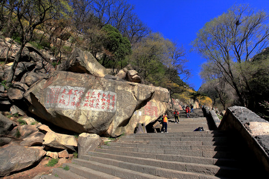 山东泰山