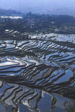 云南元阳梯田自然景观