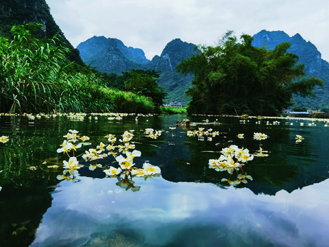 一条开花的河