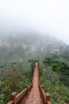 莲花山木栈道