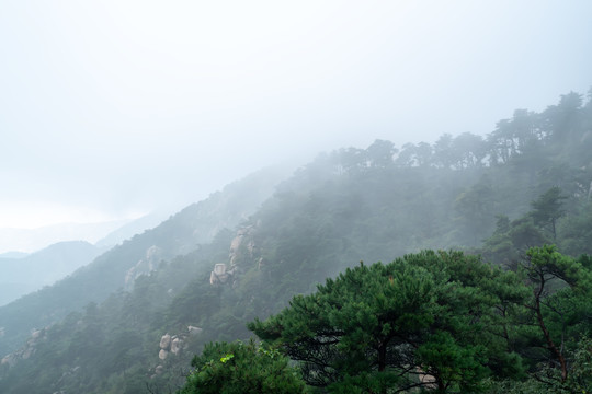 莲花山自然风景和雾