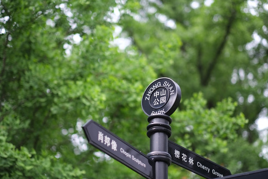 上海中山公园小景