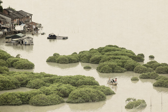 鹅湾滩涂