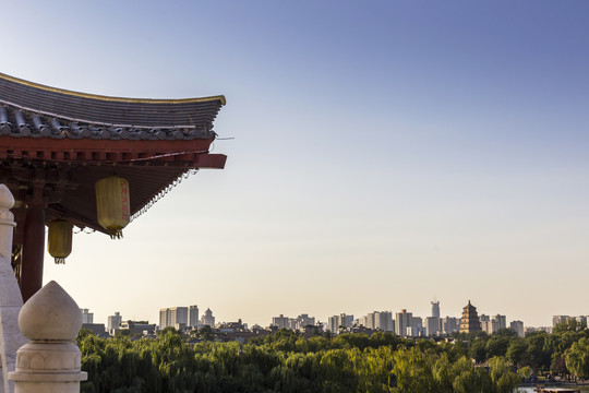 西安大唐芙蓉园夜景古建筑