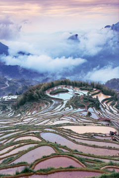 浙江丽水云和梯田