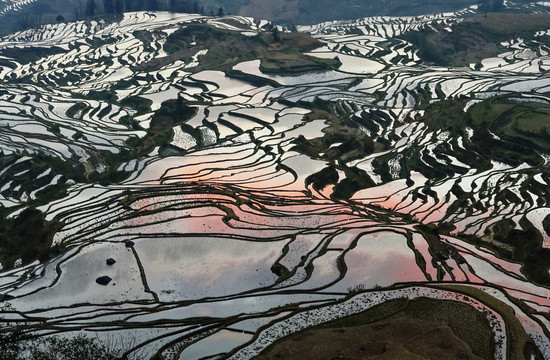 云南元阳梯田自然景观