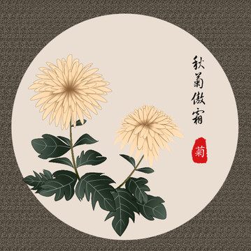 中国风手绘菊花矢量插画