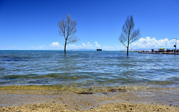 青海湖景观