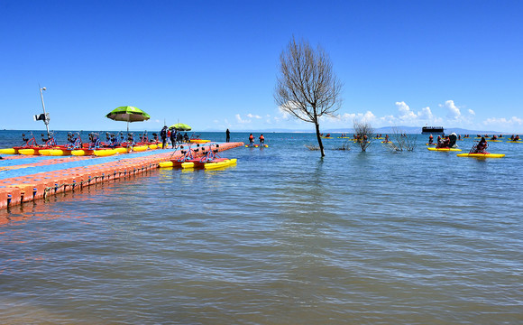 青海湖景观