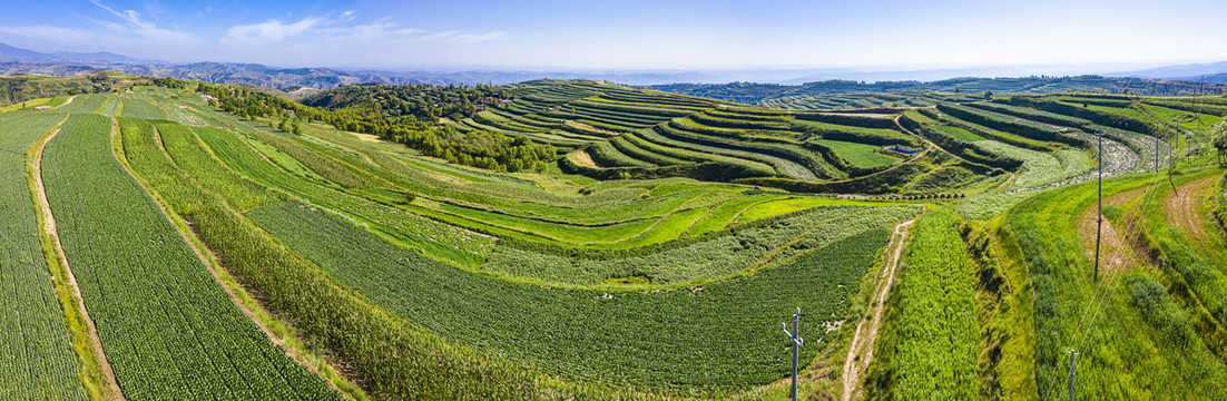 群山梯田