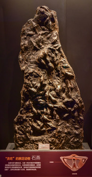石燕化石
