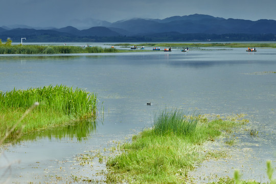 威宁草海