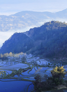 云雾日照蓝色蜿蜒梯田自然景观