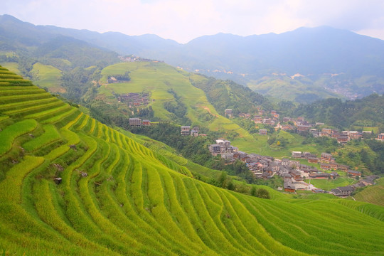 广西龙脊金坑大寨梯田风光