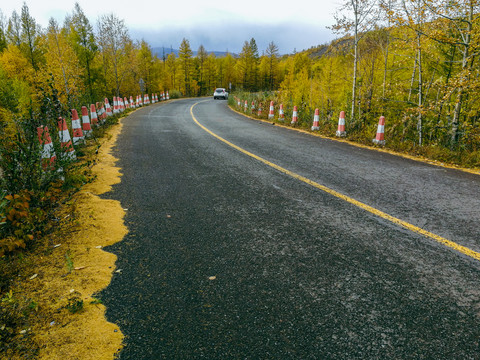 森林道路秋季越野车