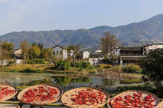 安徽呈坎古村